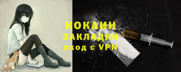 амф Богданович