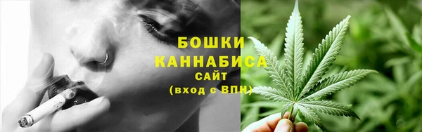 амф Богданович
