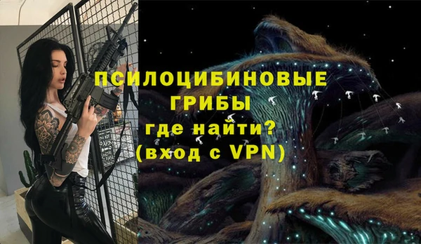 амф Богданович