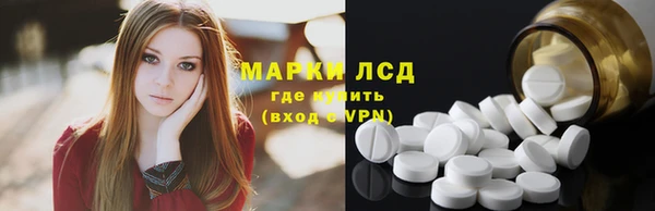 амф Богданович