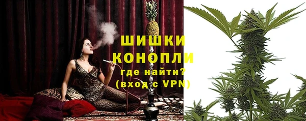 амф Богданович
