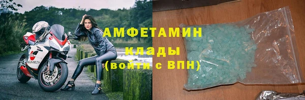 амф Богданович