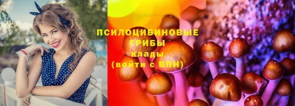 прущий лед Тобольск