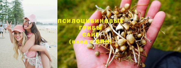 метамфетамин Богородицк