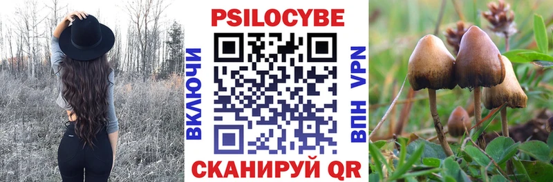 Галлюциногенные грибы прущие грибы  omg зеркало  Бугульма 